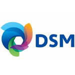 Logo DSM
